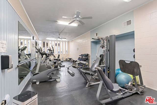 exercise room with ceiling fan and ornamental molding