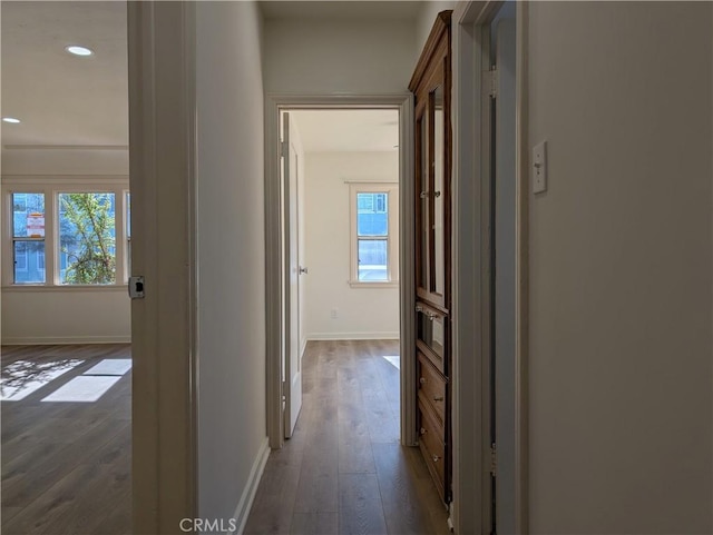 hallway featuring baseboards, dark wood-style flooring, and a healthy amount of sunlight