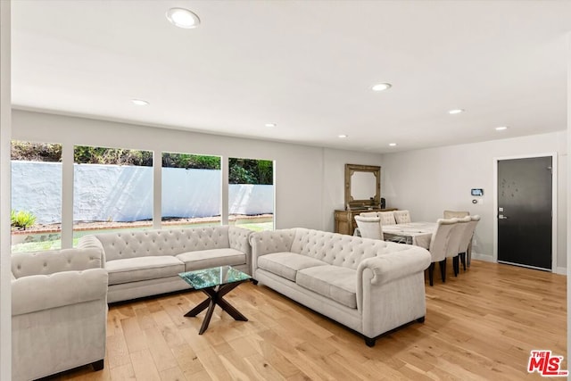 living room with light hardwood / wood-style flooring