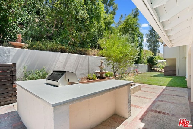 view of patio / terrace featuring exterior kitchen and grilling area