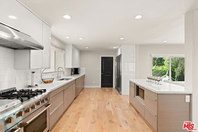 kitchen featuring light wood-type flooring, high end appliances, white cabinets, backsplash, and sink