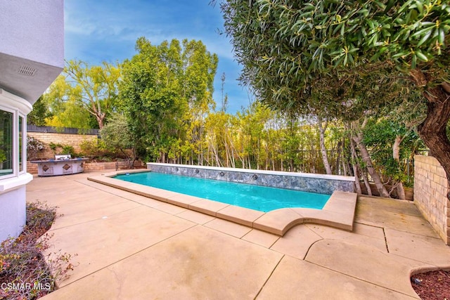 view of pool with a patio