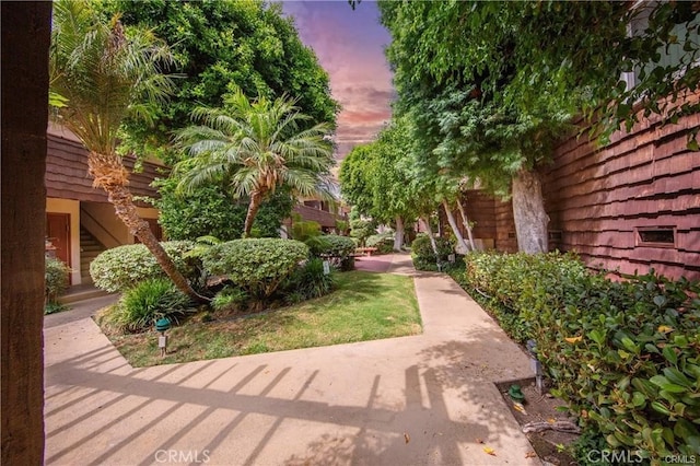 view of yard at dusk