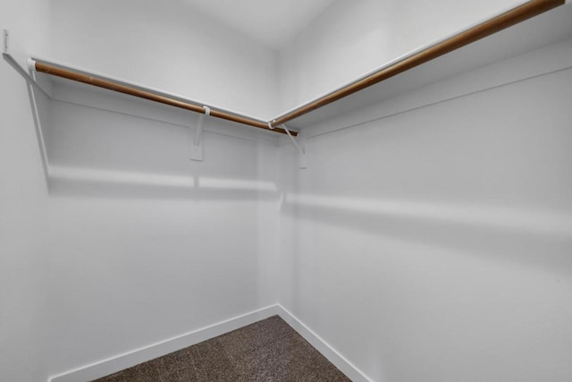 spacious closet with carpet