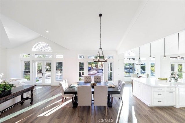 dining room featuring french doors, light wood-type flooring, and plenty of natural light