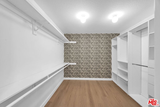 spacious closet with hardwood / wood-style flooring