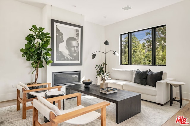 living room featuring light hardwood / wood-style floors