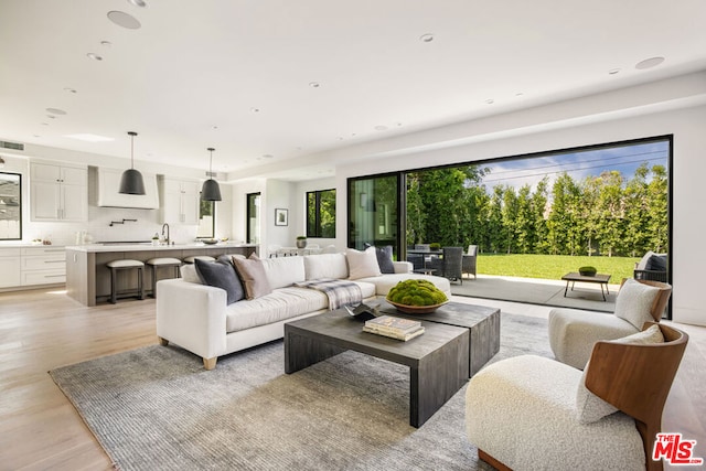 living room featuring light hardwood / wood-style floors