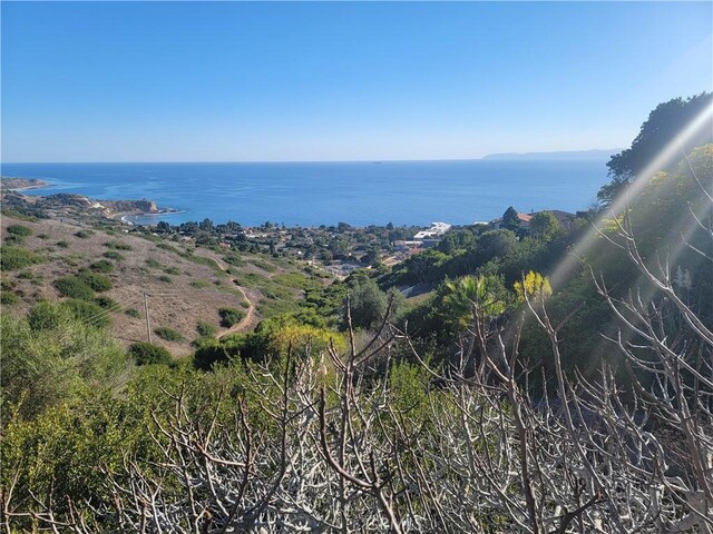 property view of water