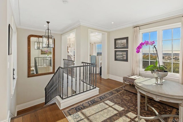 hall with dark wood-type flooring, a chandelier, crown molding, and a wealth of natural light