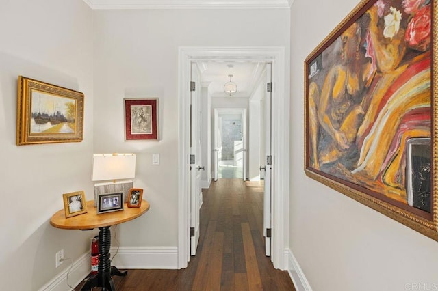 hall featuring crown molding and dark hardwood / wood-style floors