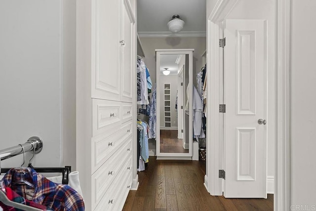 2045 W California St, San Diego, CA 92110 - walk in closet featuring dark wood-style flooring