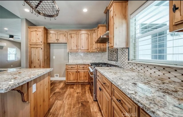 kitchen featuring light stone countertops, light hardwood / wood-style flooring, decorative backsplash, and high end range