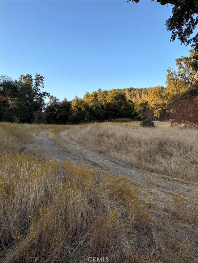 view of landscape with a rural view