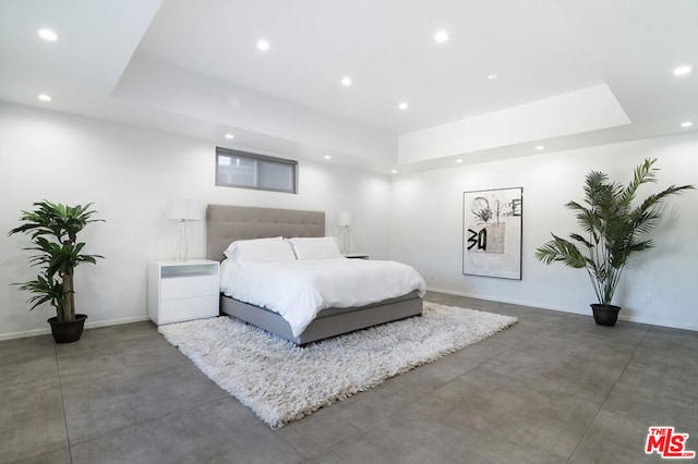 bedroom featuring a raised ceiling