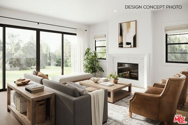 living room featuring a premium fireplace and light hardwood / wood-style flooring