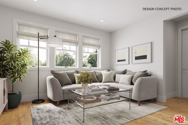 living room featuring light hardwood / wood-style flooring