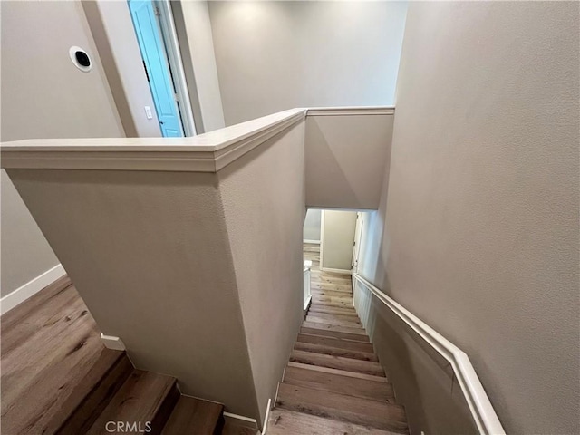 stairway with wood-type flooring