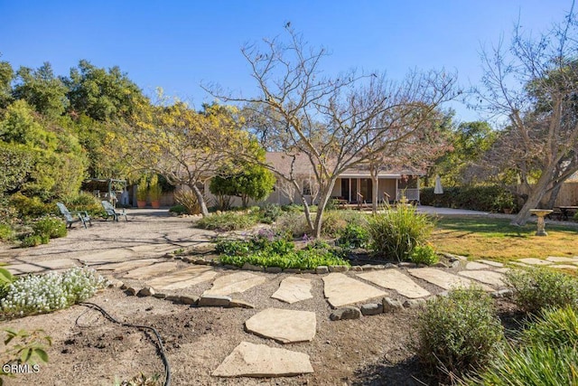 view of yard featuring a patio area