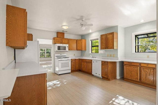 kitchen with white appliances, plenty of natural light, and sink