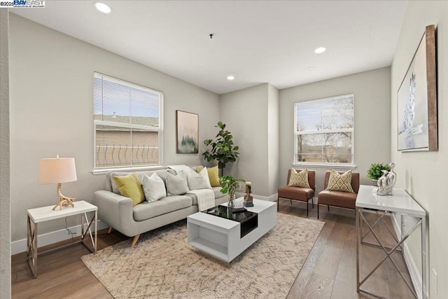 living room with a wealth of natural light and wood-type flooring