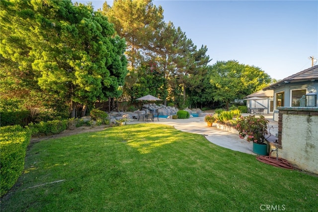 view of yard with a patio area