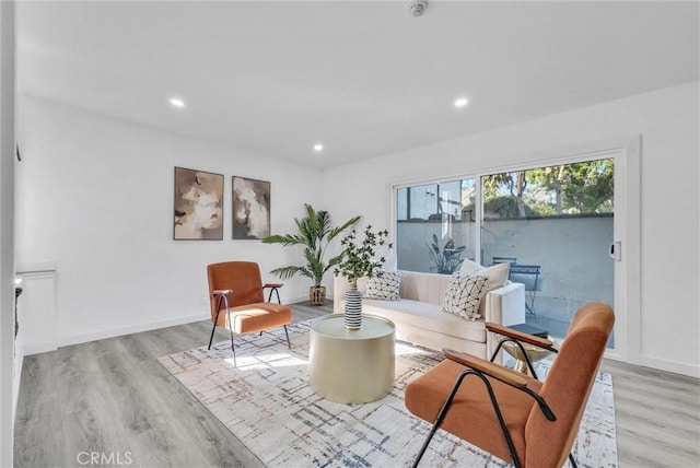 living room featuring light wood-type flooring