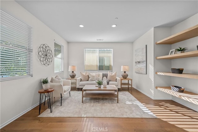 living room featuring hardwood / wood-style flooring