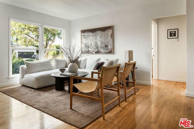 living area with light hardwood / wood-style floors