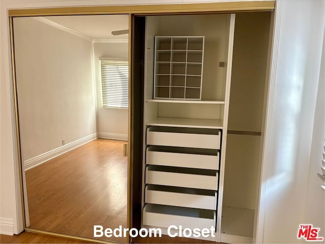 view of closet