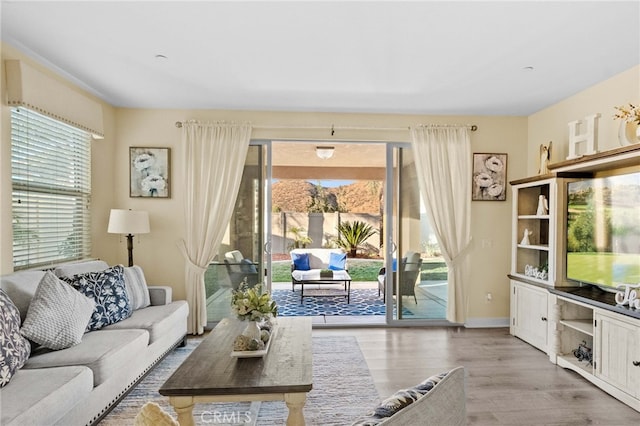 living room with light hardwood / wood-style floors