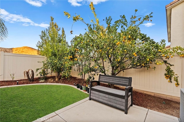 view of yard with a mountain view and a patio