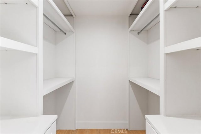 spacious closet featuring light wood-type flooring