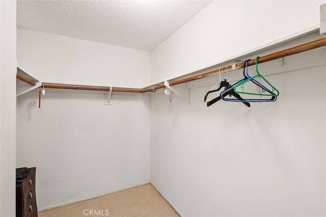 spacious closet with carpet