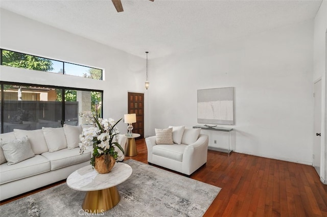 living room featuring dark hardwood / wood-style flooring and a textured ceiling