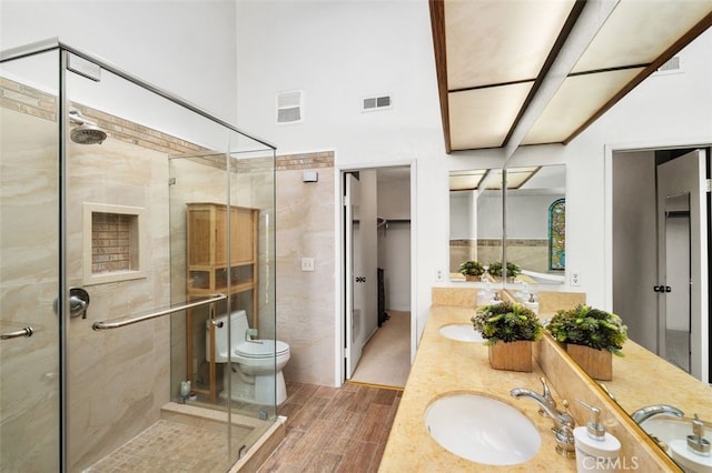 bathroom featuring vanity, an enclosed shower, and toilet