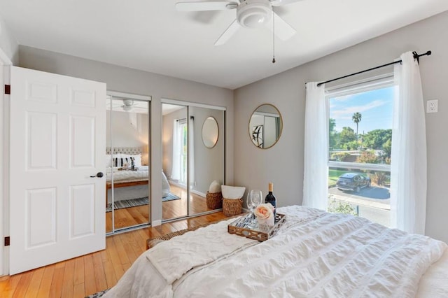 bedroom with ceiling fan, hardwood / wood-style flooring, and two closets