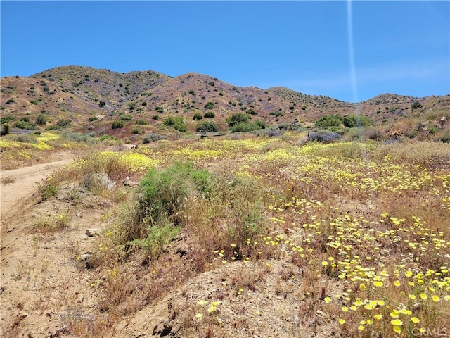 56335 Eagles Nest Rd, Yucca Valley, CA 92284