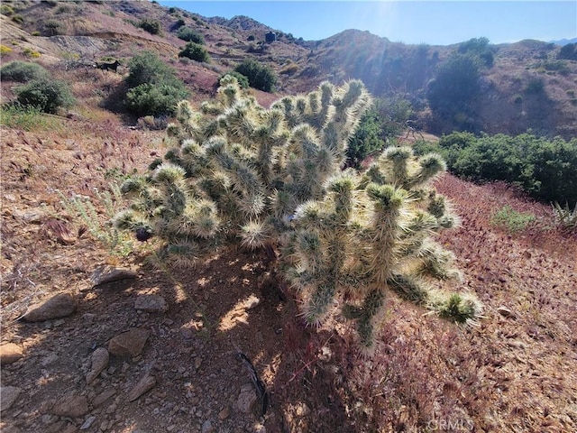 56335 Eagles Nest Rd, Yucca Valley, CA 92284