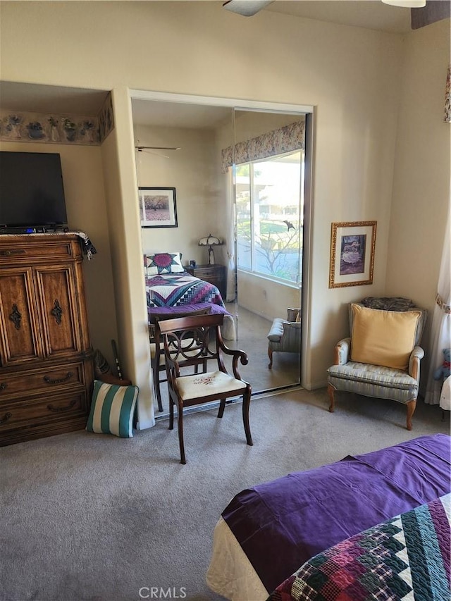 view of carpeted bedroom