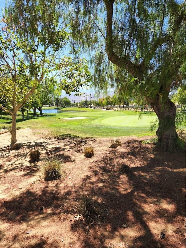 view of home's community with a yard