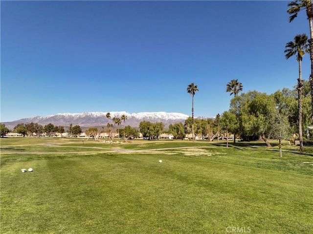 view of community featuring a yard and a mountain view