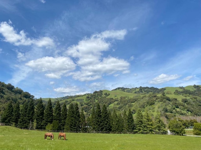 property view of mountains with a rural view