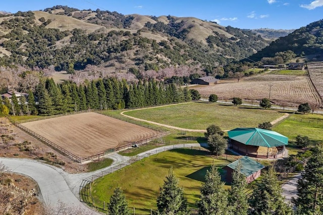 property view of mountains with a rural view