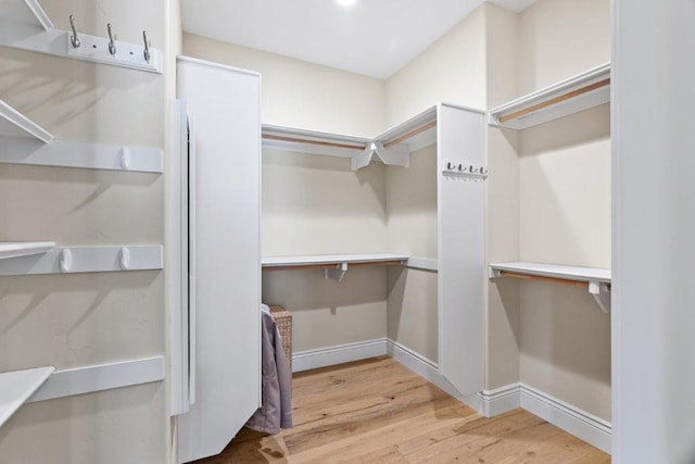 spacious closet with light wood-type flooring