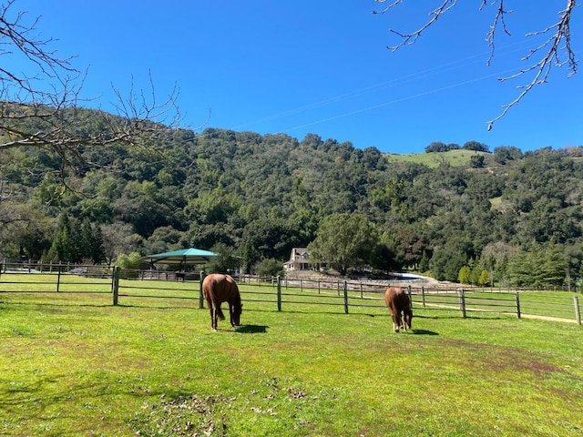 view of community with a yard and a rural view