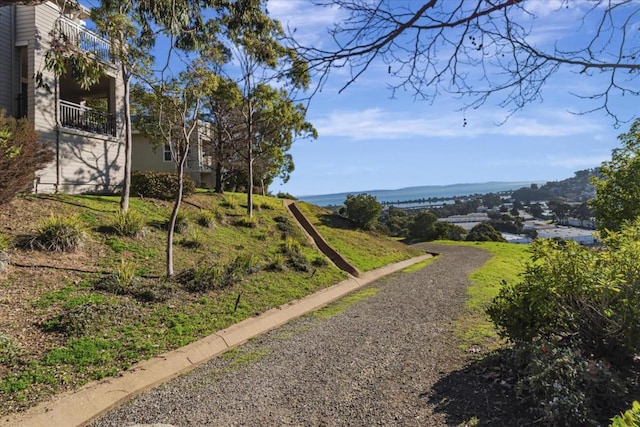 view of yard featuring a balcony