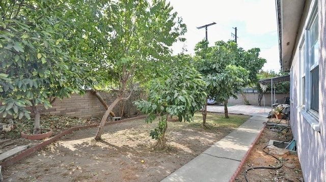 view of yard featuring a patio area