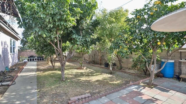 view of yard featuring a patio area