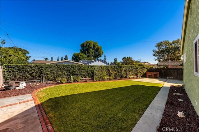 view of yard with a patio area